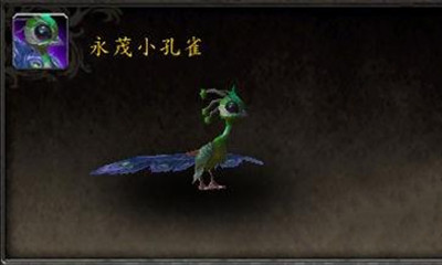 《魔獸世界》寵物永茂小孔雀獲取攻略