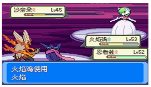 口袋妖怪雪之白