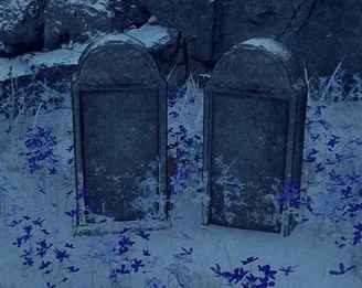 《艾爾登法環(huán)》不再重生MOD