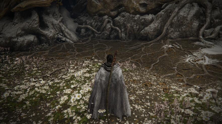 《艾爾登法環》瑪蓮妮亞的義手刀添加刀柄MOD