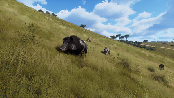 狩獵之道：瑪塔里基公園