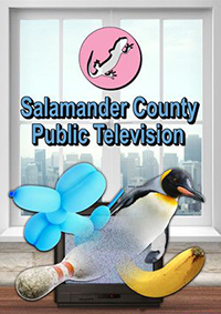 蠑螈縣公共電視臺