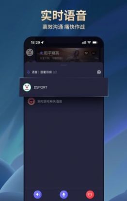 dsport電競(jìng)
