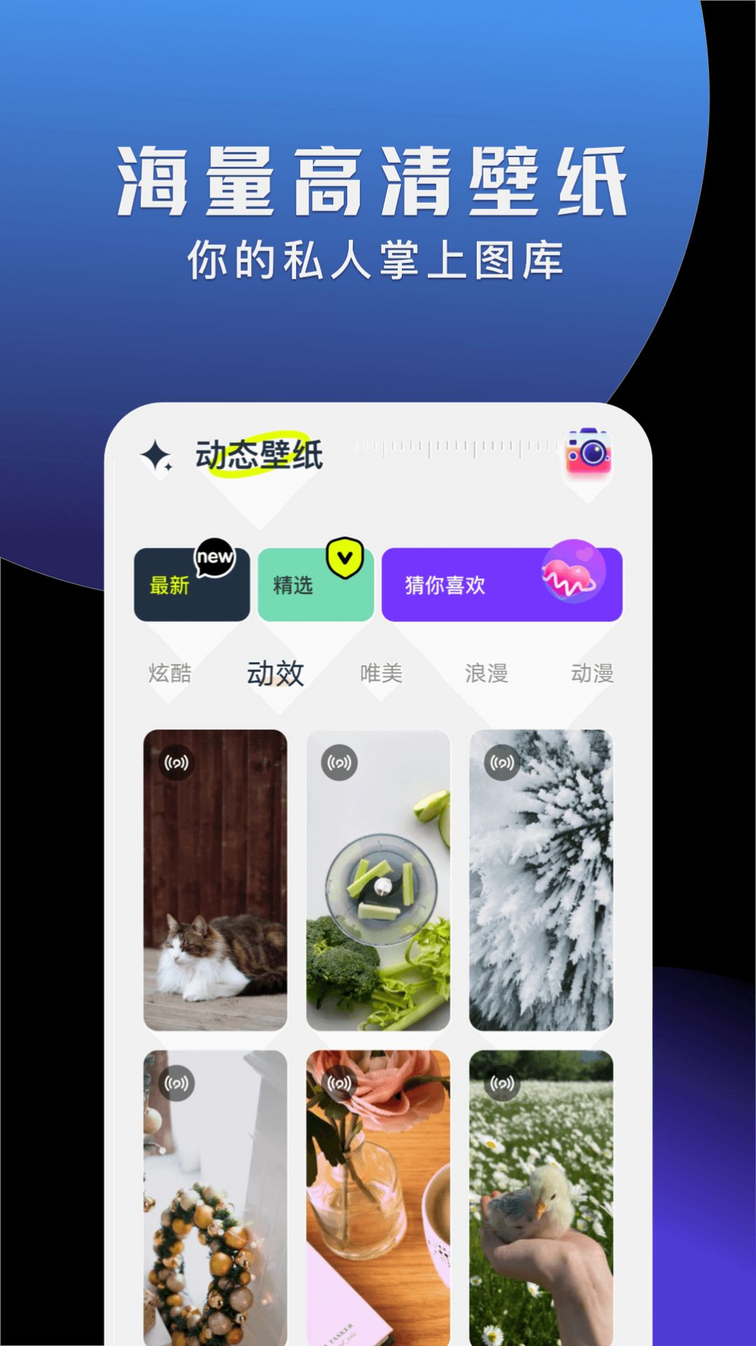 手機動態(tài)壁紙大全