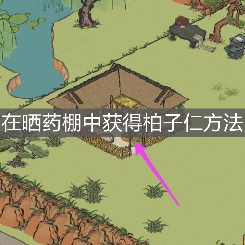 《江南百景圖》在曬藥棚中獲得柏子仁方法