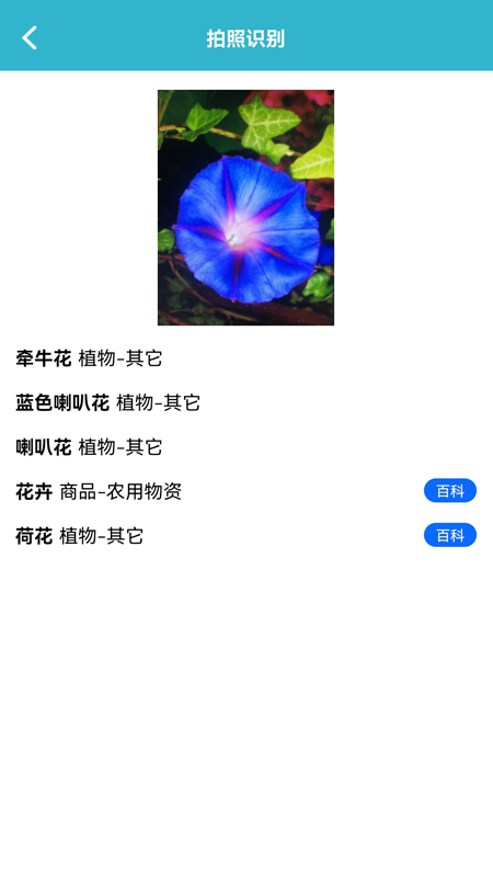 動植物識別