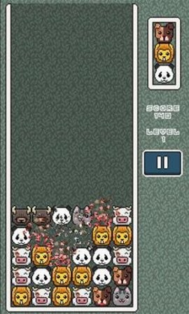 動(dòng)物園流行音樂