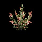 《七日殺》室內(nèi)植物生長MOD