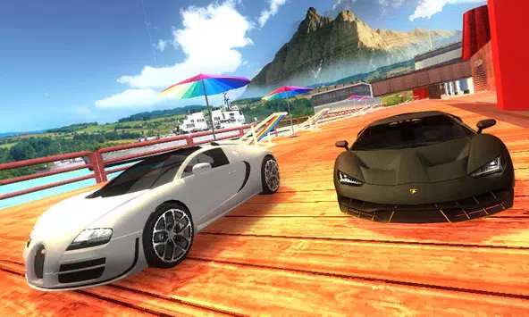 項目賽車