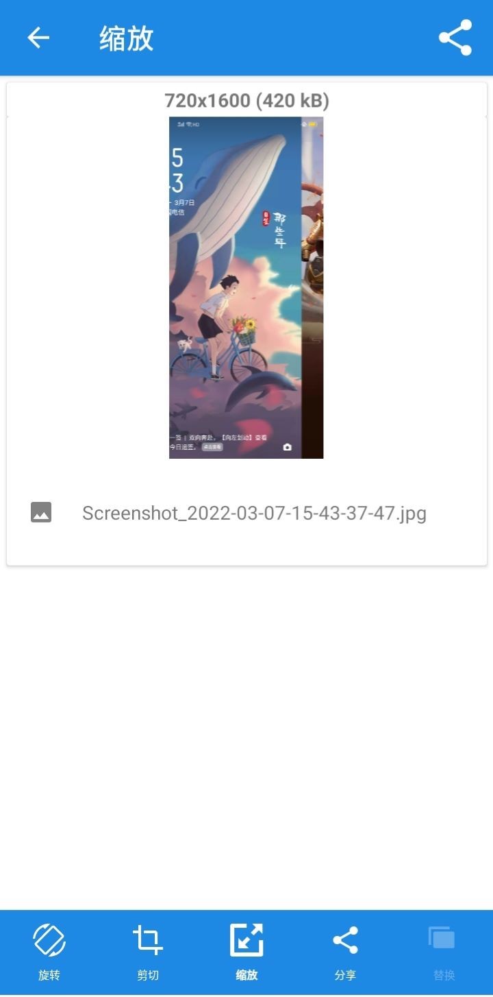 毛栗美圖