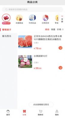 隨團購物