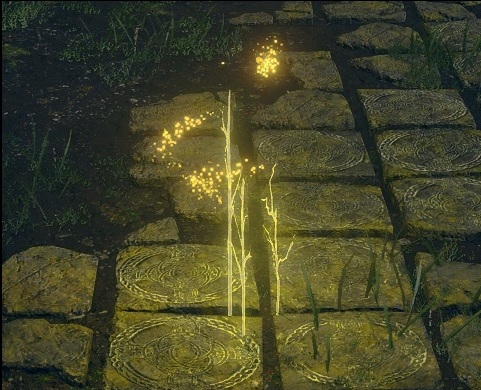 《艾爾登法環(huán)》死亡不掉落盧恩MOD