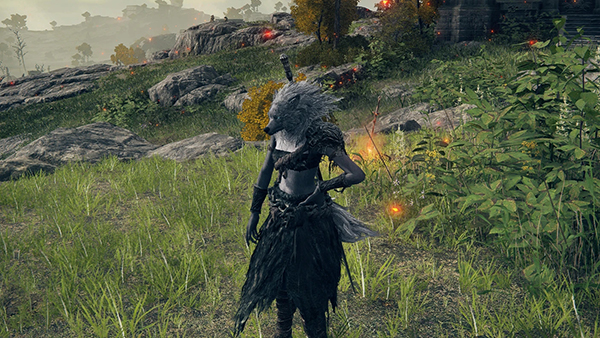 《艾爾登法環》黑色野獸冠軍盔甲MOD