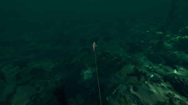 終極釣魚模擬器：佛羅里達