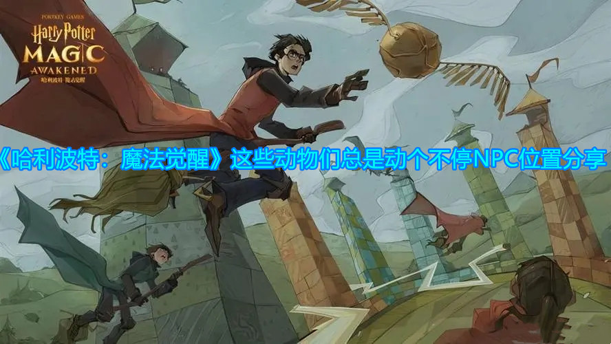 《哈利波特：魔法覺醒》這些動物們總是動個(gè)不停NPC位置分享