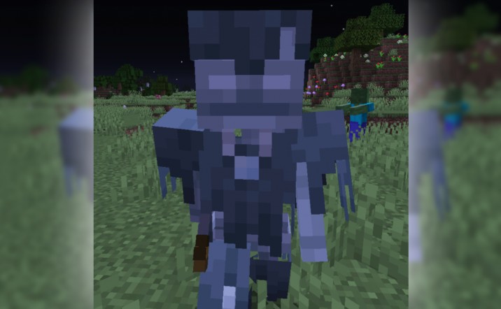 《我的世界》1.16.5流浪者無生成限制MOD