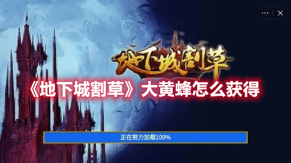 《地下城割草》大黃蜂怎么獲得