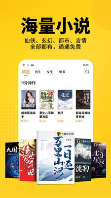 福祿小說