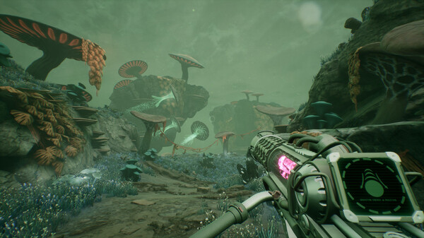 穆勒鮑威爾原則