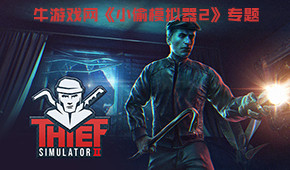 小偷模擬器2