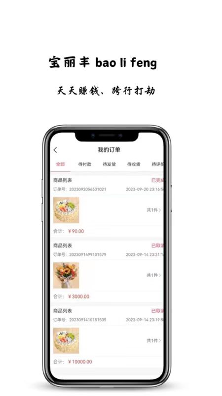 寶麗豐