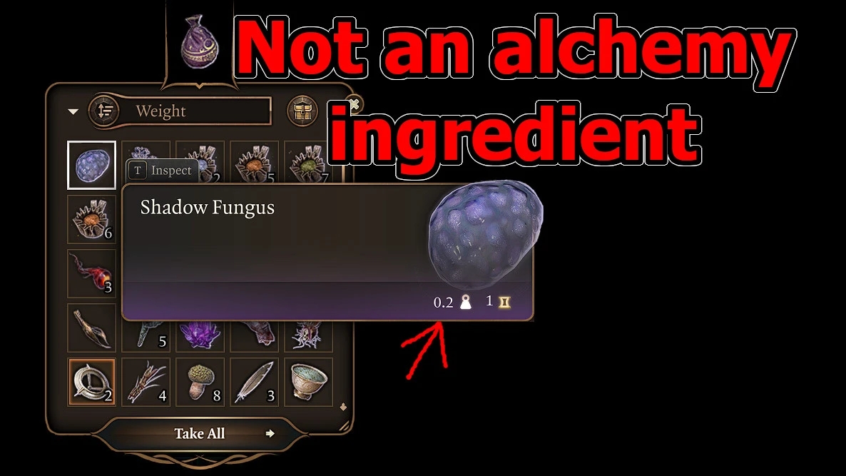 《博德之門3》煉金術成分零重量MOD