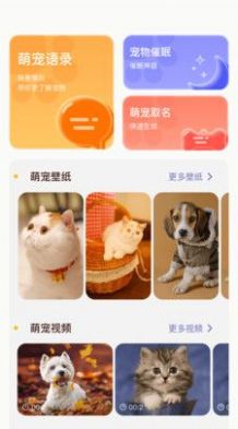 萌寵日常翻譯器