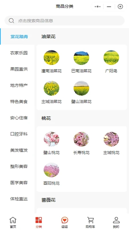 鄉(xiāng)見美