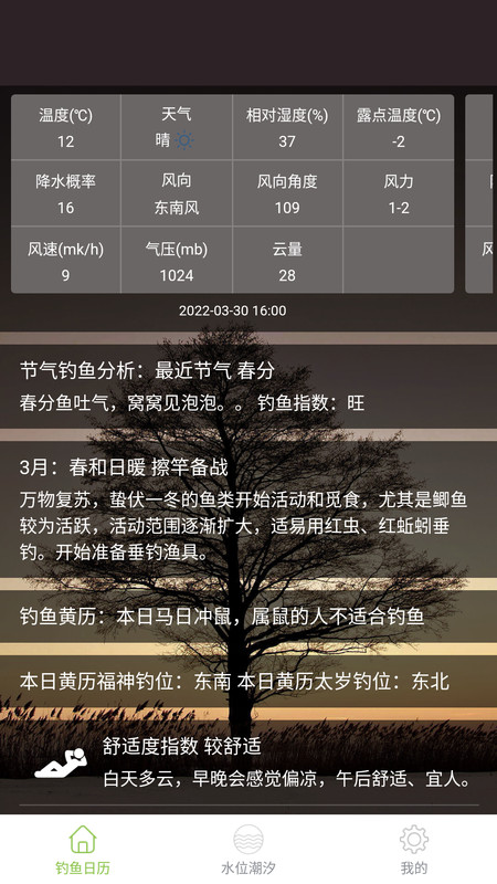 嘿嘿貓