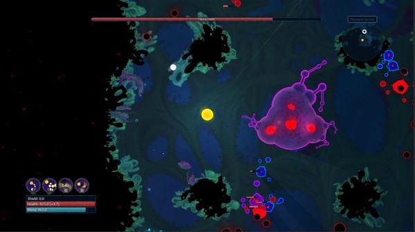 最后的陽光：重新點燃