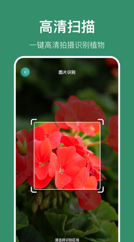 識花草