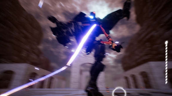 飄：羽毛的重量