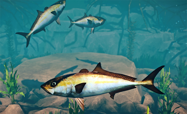 《動物園之星》增添新物種黃尾鰤魚MOD[支持v1.13版]