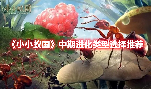 《小小蟻國》中期進(jìn)化類型選擇推薦