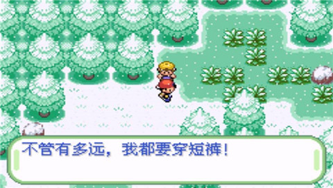 口袋妖怪織女星
