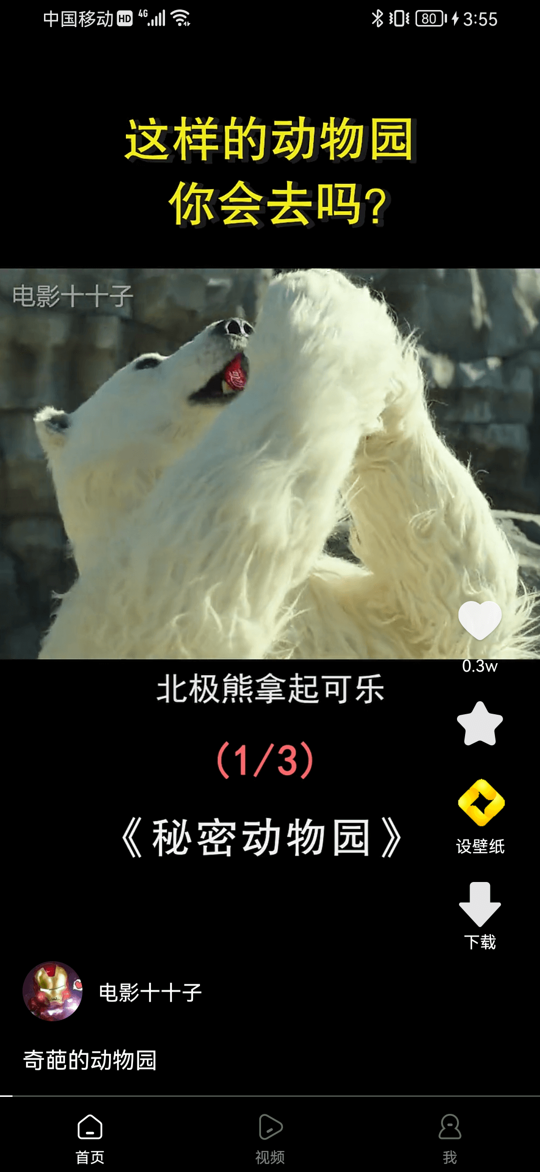 犀鳥(niǎo)視頻