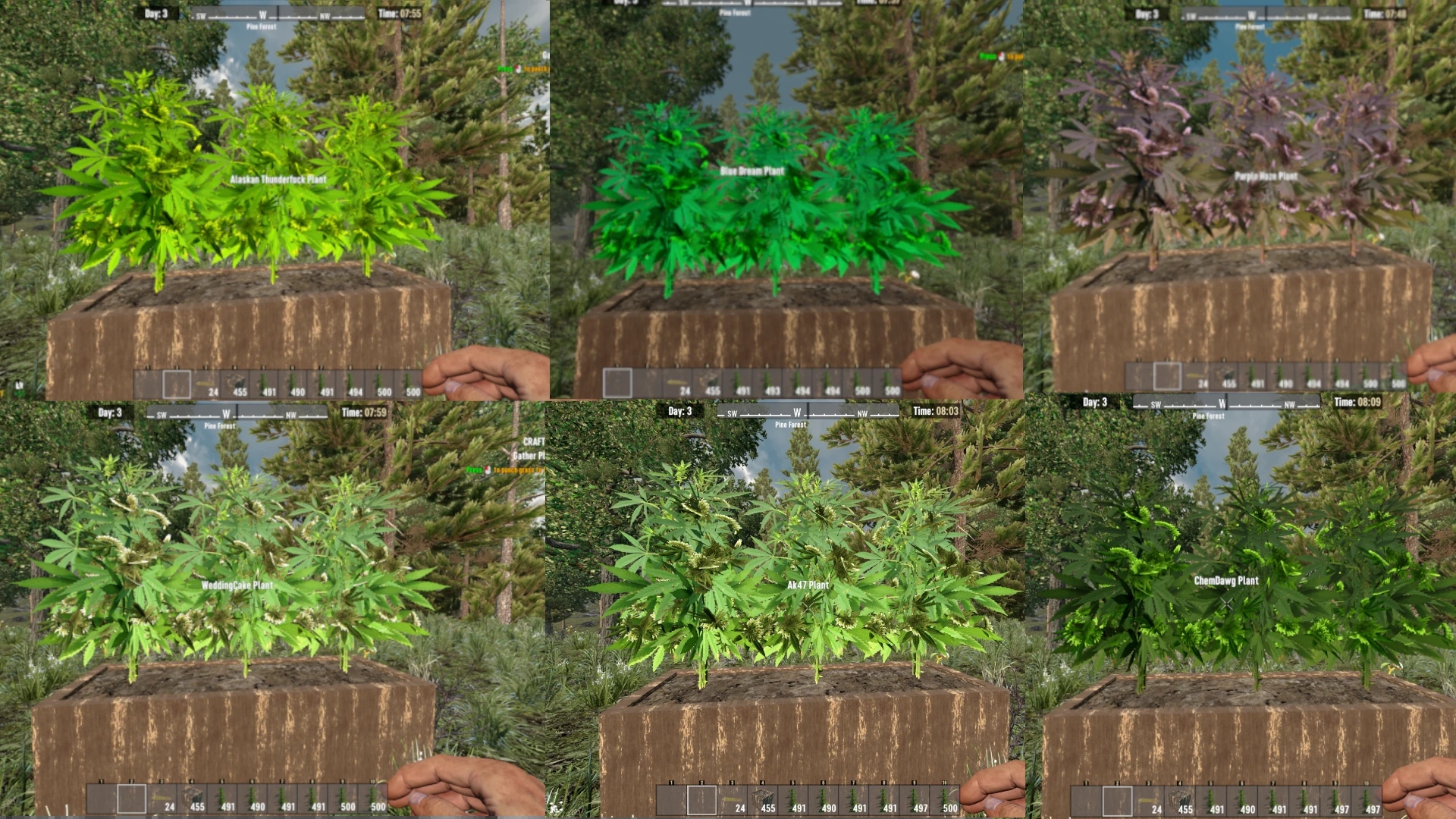 《七日殺》Dk的煙草和提取物A21MOD