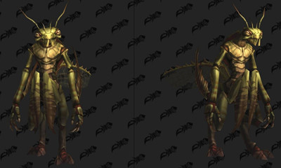 《魔獸世界》寵物庫爾提克寶寶獲取攻略