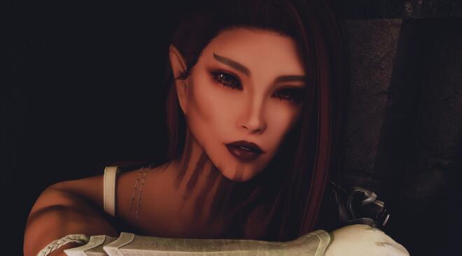 《上古卷軸5：天際重制版》木精靈獨立女隨從伊萊恩MOD