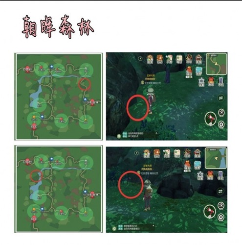 小森生活甲蟲怎么獲得1