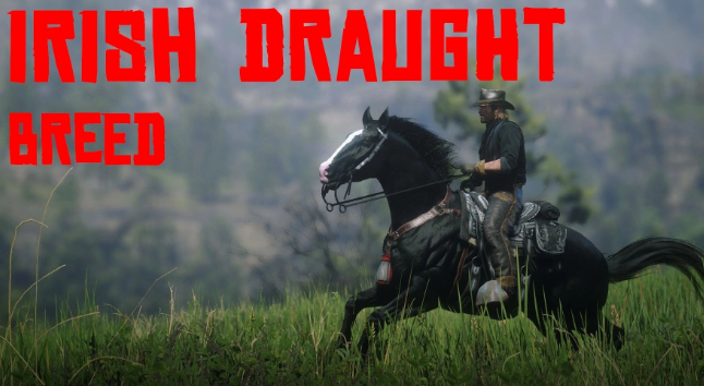 《荒野大鏢客2》Irish Draught愛爾蘭挽馬MOD