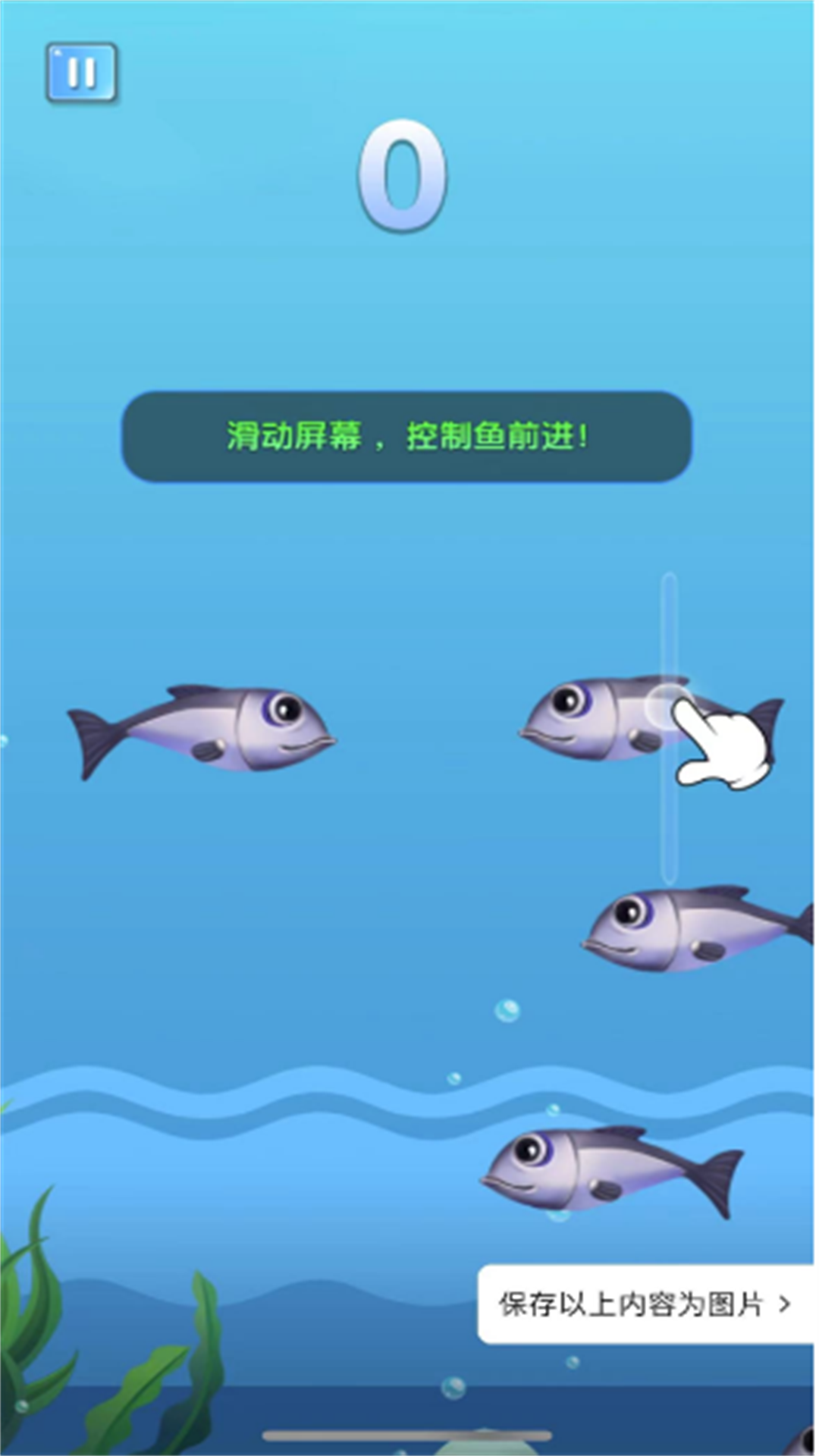 鯊魚吃小魚