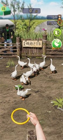 天天套圈無限金幣最新版