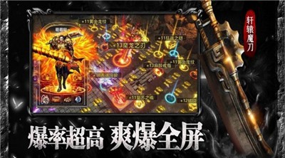 鳳龍單職業