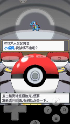 口袋妖怪魂銀