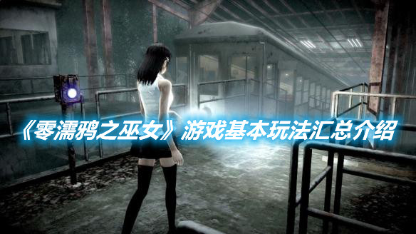 《零濡鴉之巫女》游戲基本玩法匯總介紹