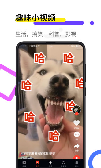 火螢視頻壁紙去廣告版