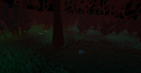 殘酷的夢想家馬喬西亞斯