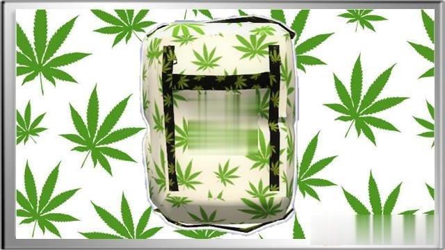 《求生之路2》可愛雜草醫療包MOD