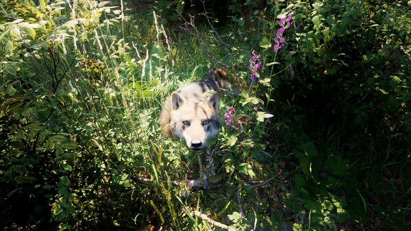 俄羅斯靈魂模擬器